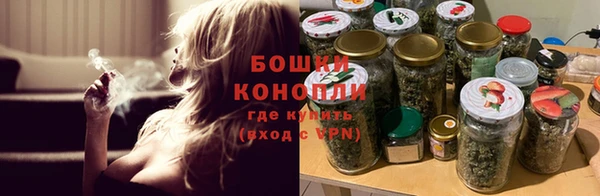 бошки Ельня
