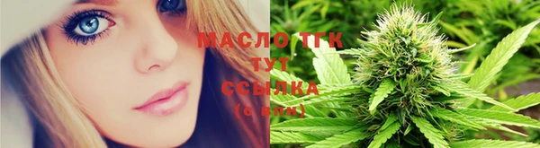 мет Елизово
