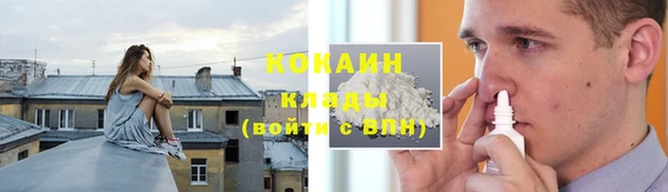 бошки Ельня
